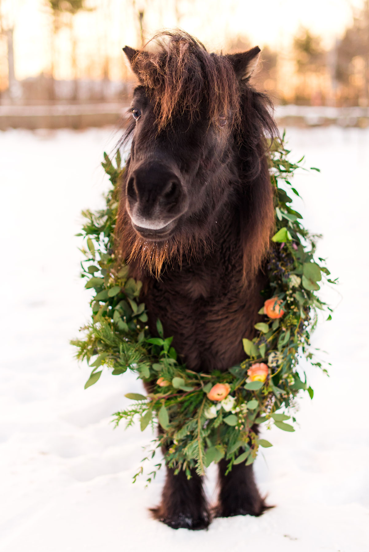 Anaphora Flowers - Wedding Flowers and Design for the Sophisticated and Romantic Bride