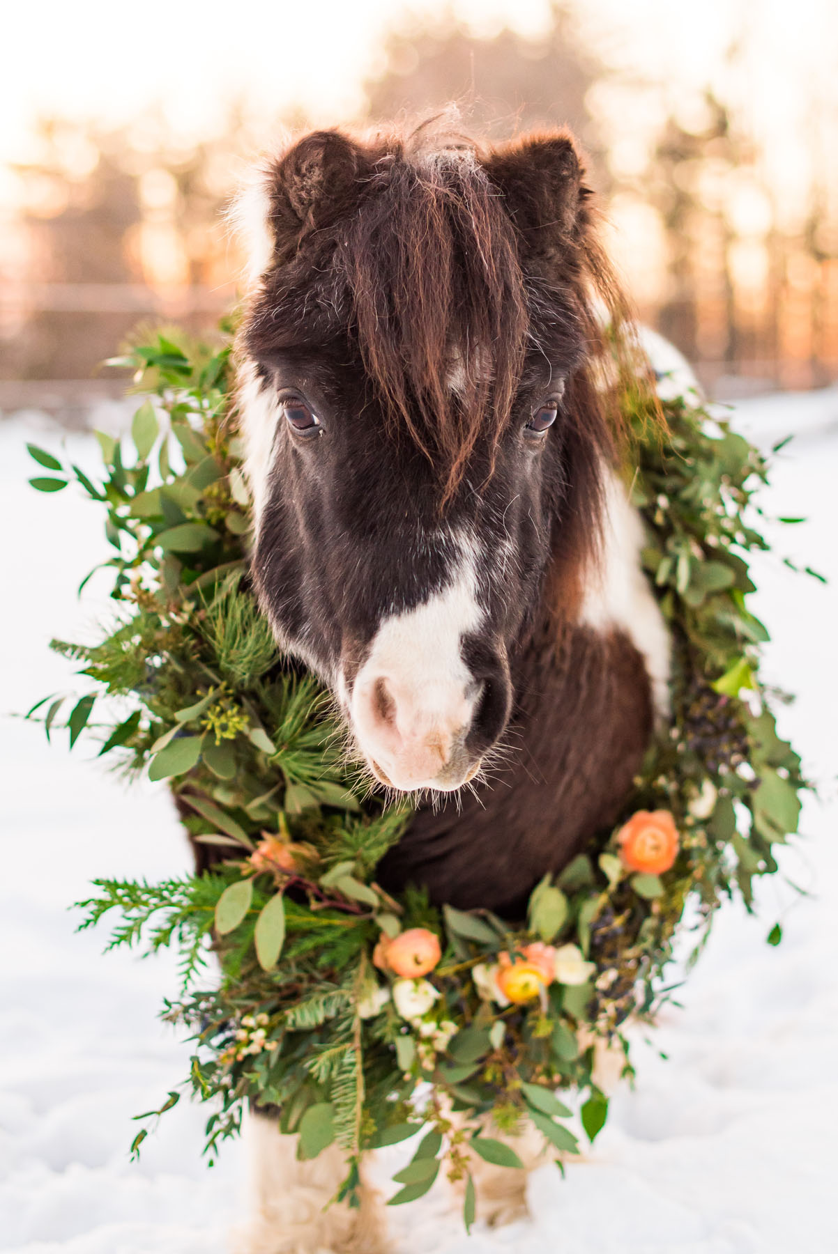 Anaphora Flowers - Wedding Flowers and Design for the Sophisticated and Romantic Bride