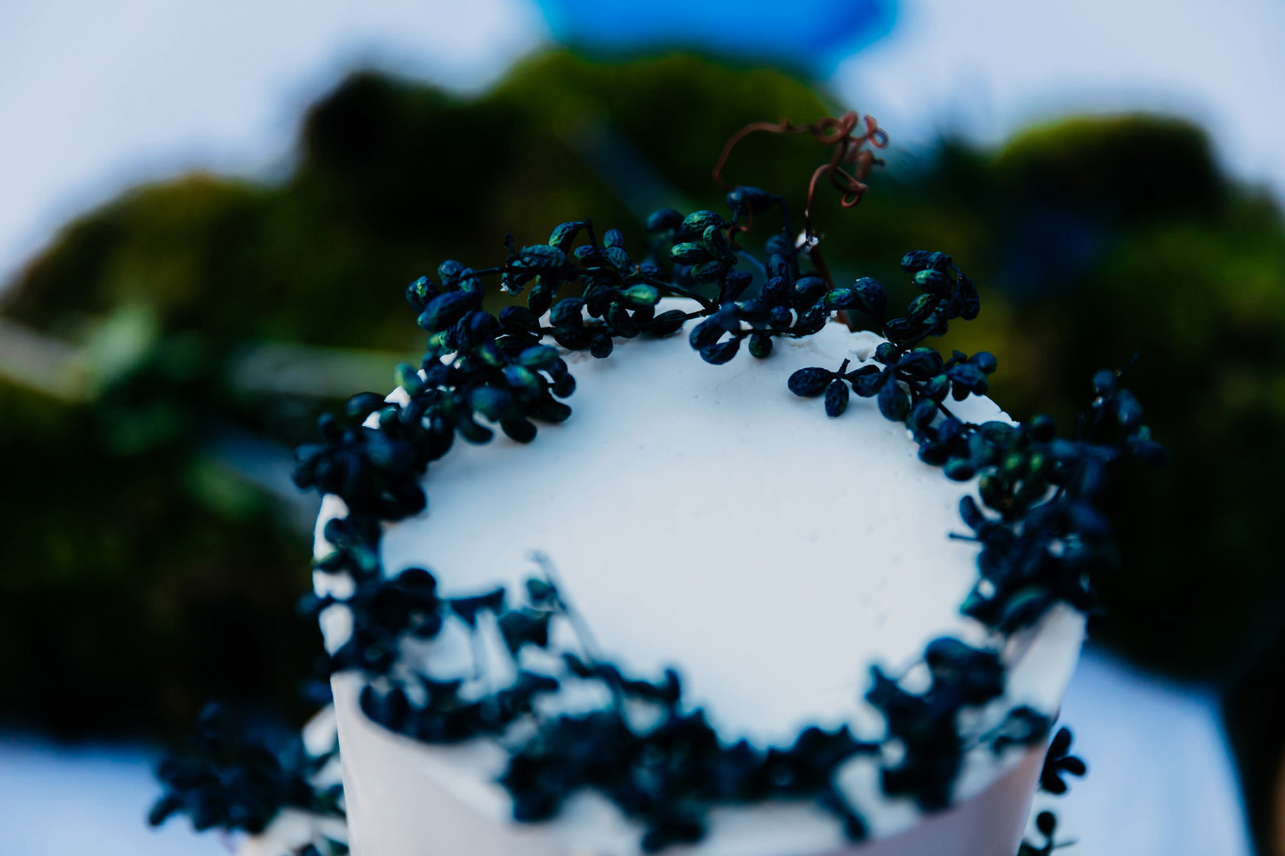 Anaphora Flowers - Wedding Flowers and Design for the Sophisticated and Romantic Bride