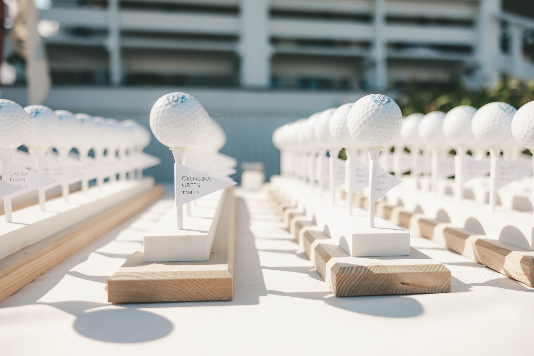coastal Maine wedding stationery custom wedding golf ball seating chart with custom wedding monogram crest